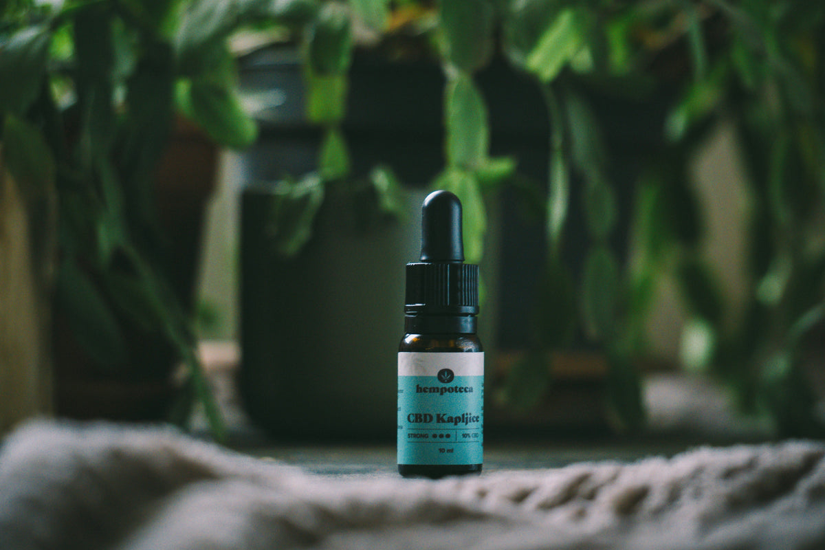 CBD online bestellen vanuit Rotterdam bij FastCBD
