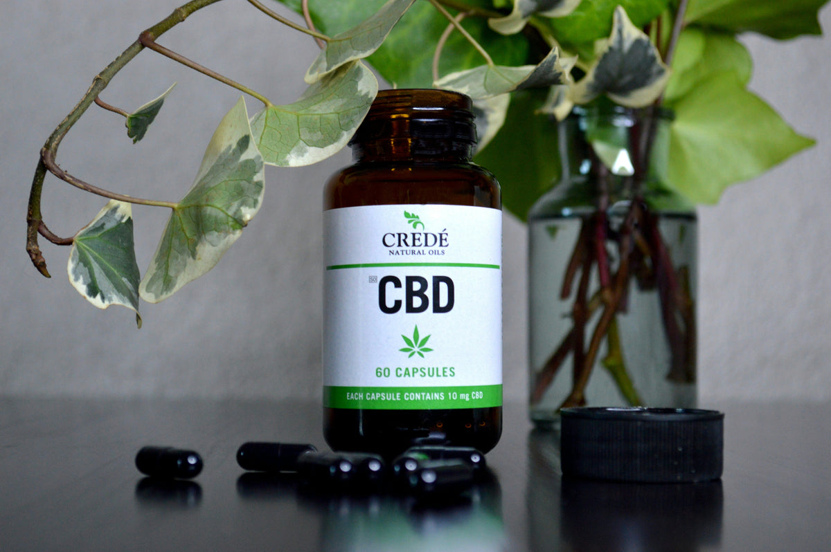 CBD-producten online bekijken vanuit Groningen bij FastCBD
