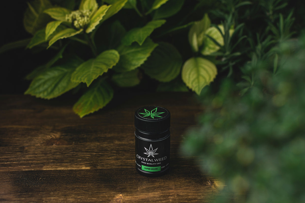 CBD-producten online bekijken en bestellen vanuit Amsterdam
