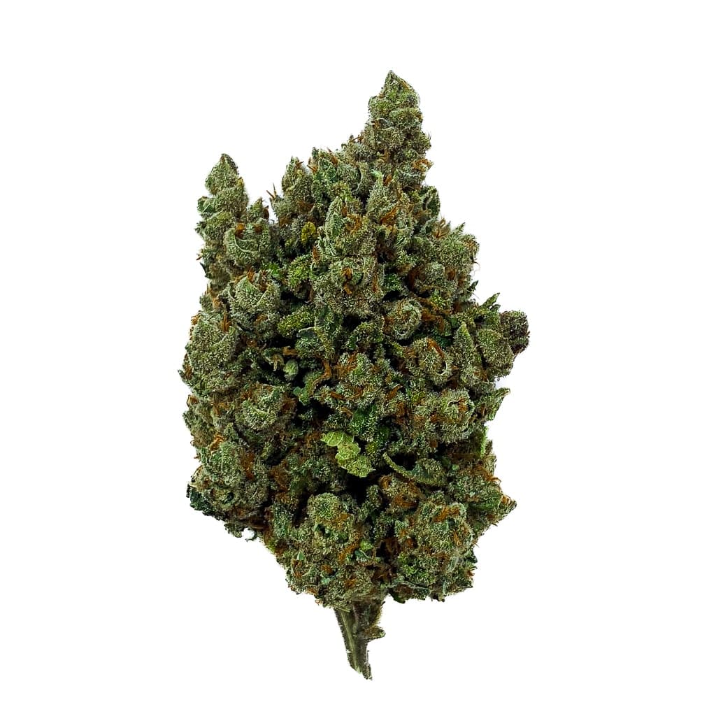 Orange Sherbet CBD bloem indoor