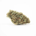 Bubble Gum CBD-bloem uit de kas