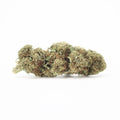 N.Y. Diesel CBD-bloem uit de kas