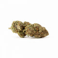 Sweet Berry CBD bloem