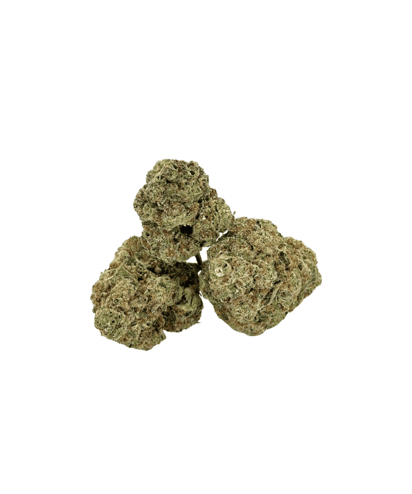 Mango Frost Cryo FTS Bloemen