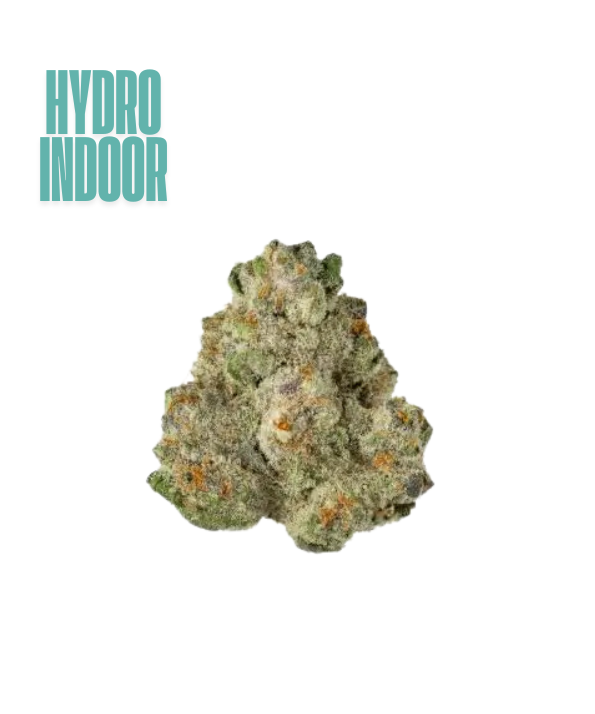 Lemon Diamond CBD Hydro – hydrocultuur CBD-bloem