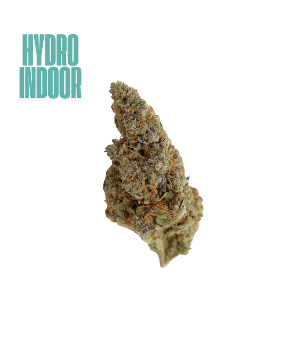 Sour Apple CBD Hydro – hydrocultuur CBD-bloem