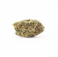 CBD Amnesia Haze – CBD-bloem uit de kas