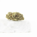 CBD BZ1 – CBD-bloem uit de kas