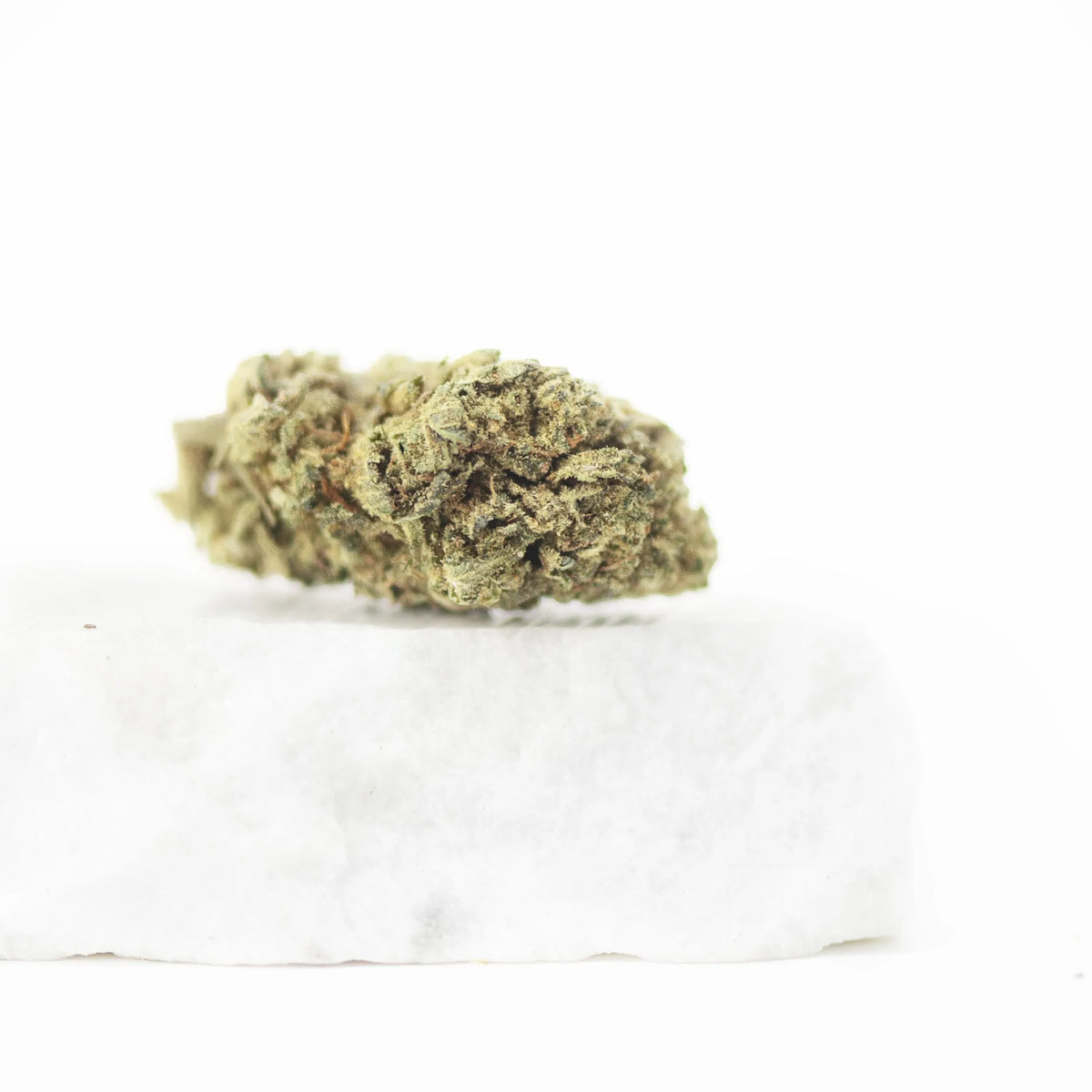 CBD BZ1 – CBD-bloem uit de kas