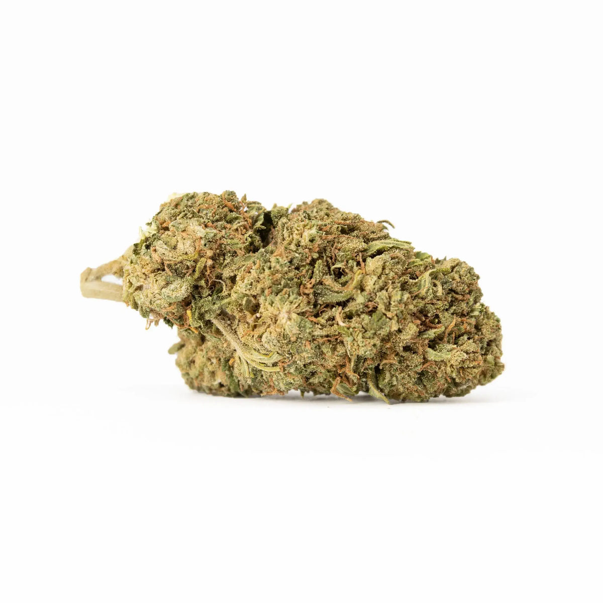 Gelato CBD-bloem met paarse en groene toppen