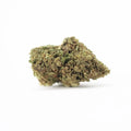 Harlequin CBD Wiet CBD-bloemen