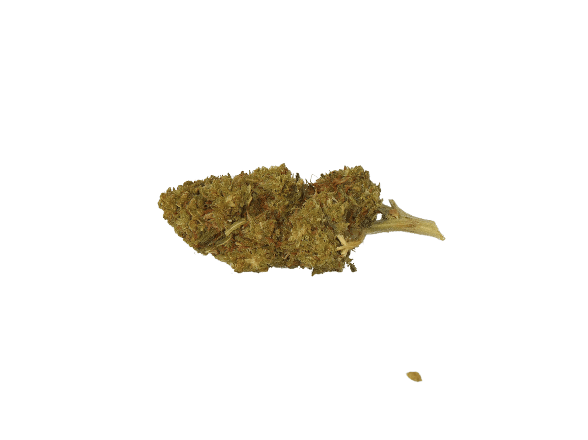 Gorilla THCP bloemen 10%