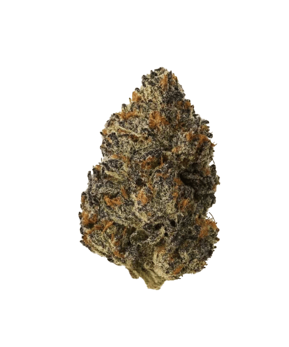 White Truffle THCA bloemen 34%